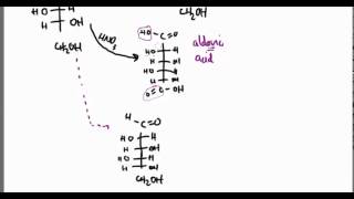 Carbohydrates 21 Oxidation Examples [upl. by Haymo358]