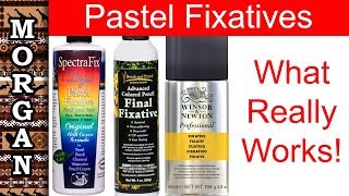 PASTEL FIXATIVE Spray review  soft pastel  pastel pencil wildlifeartjm [upl. by Oringas682]