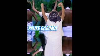 PALIKE GORINKA [upl. by Bonnibelle]