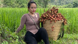 FULL VDEO 60 days of harvesting lychees melons amp agricultural products to go to the market to sell [upl. by Tekcirc911]