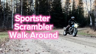 Sportster Scrambler Build Walk Around [upl. by Ahseenyt]