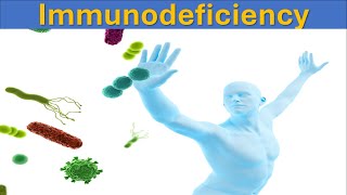 Understanding Immunodeficiency Causes Types and Treatments  Immune System [upl. by Fesoj]