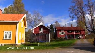 Fjeld Gård Ny [upl. by Wixted378]