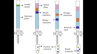 Column Chromatography Experiment Column Chromatography [upl. by Sema]