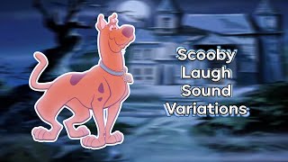 15 Scooby Doo Laugh Sound Variations in 35 Seconds [upl. by Naitsyrk]