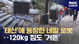 중국 태산 오르내리는 네발 로봇‥120kg 짐도 거뜬 20241022뉴스데스크MBC [upl. by Onilegna]