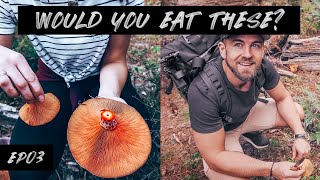 How to forage for wild mushrooms NSW for beginners  epic winter cookup EP03 [upl. by Aytnahs]