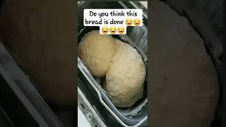 What is going on with the bread funny animatiomeme memeanimation [upl. by Jennee]