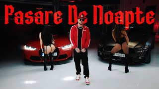 El Nino  Pasare de noapte  Official Video [upl. by Flosser]