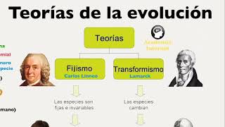 Teorias de la evolucion fijismo transformismo evolucionismo Linneo Darwin Neodarwinismo [upl. by Hagep]