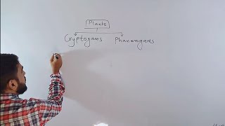 Classification of Plants  class 9  lecture 3 Cryptogams and Phanerogams [upl. by Mellar]