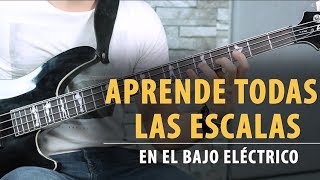 Aprende TODAS LAS ESCALAS en el Bajo en 9 Minutos  Tutorial [upl. by Assirual]