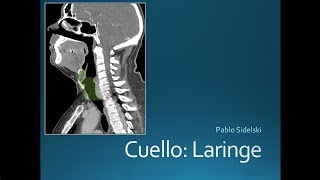 Cuello Laringe [upl. by Laurens]