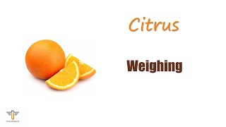 Citrus  Weighing [upl. by Nixon]