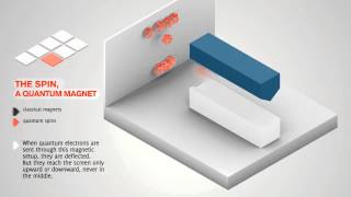 spin  Stern and Gerlach experiment [upl. by Eityak]