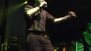 DROPKICK MURPHYS quotTHE TORCHquot LIVE [upl. by Schindler432]