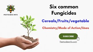 Overview of Six Common Fungicides Chemistry formulation Mode of Action and Uses [upl. by Yxel]