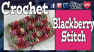 Crochet Black Berry Stitch  BEGINNER [upl. by Dianthe923]