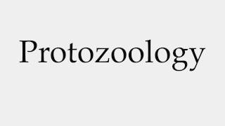 How to Pronounce Protozoology [upl. by Crutcher374]