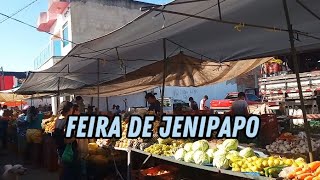 FEIRA DE JENIPAPOSERGIPE [upl. by Wamsley]