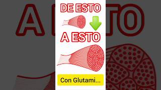 PARA que SIRVE la GLUTAMINA  Lo que DEBES SABER de la GLUTAMINA nutratoont shorts glutamine [upl. by Solegna]