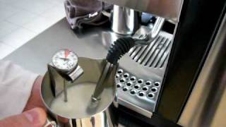 Frothing milk with Rancilio Silvia 2009 [upl. by Tihor]