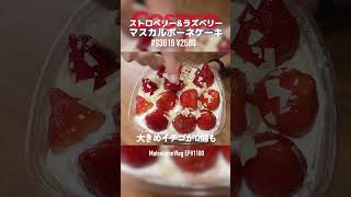 【コストコ新商品】14kg超え クリスマス仕様のケーキがクリームたっぷりでもはや飲みもの コストコ [upl. by Ahsinroc]