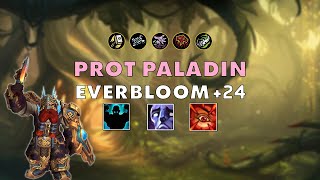 Everbloom 24 ⚔️ Prot Paladin 🔥 dragonflight 102 S3 M [upl. by Tull95]