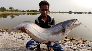 Incredible Wallago MonsterPatan fish catch [upl. by Balliol]