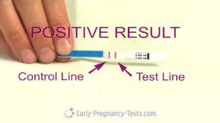 Pregnancy Test Strip [upl. by Trenna643]