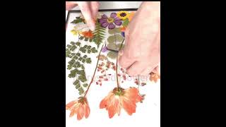 How to Make Pressed Flower Window Hanger how diy preservedflower flowers pressedflower [upl. by Gwenny]