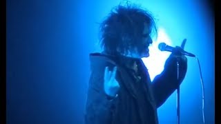 Robert Smith amp Blink182  live at Wembley Arena London [upl. by Aiciram]