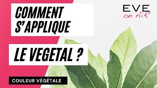 Comment sapplique une Couleur Végétale [upl. by Asennav]