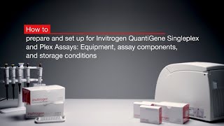 How to setup for Invitrogen™ QuantiGene™ Assays Equipment assay components and storage conditions [upl. by Aicilav]