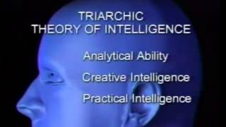 The Triarchic theory of intelligence [upl. by Esom]