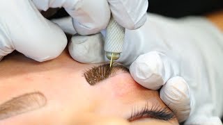 Microblading Eyebrows  Full Process  Precis Brows [upl. by Rosemarie]