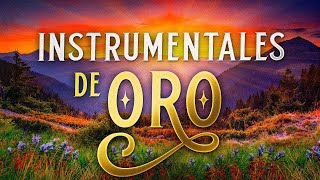 Musica Instrumental de Oro Para Escuchar Grandes Hits Instrumentales [upl. by Michail917]