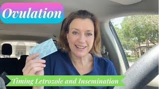 Timing Ovulation and Insemination with Letrozole [upl. by Kurtis]