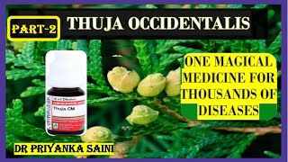 THUJA OCCIDENTALIS  HOMEOPATHY MEDICINE 1 MEDICINE FOR THOUSAND DISEASES drpriyankashomeopathy [upl. by Ingeborg898]