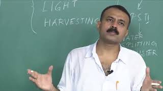 Bioelectricity 33 ch17sp swayamprabha [upl. by Esilenna936]