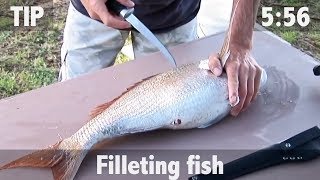 How to Fillet Fish [upl. by Evangeline]