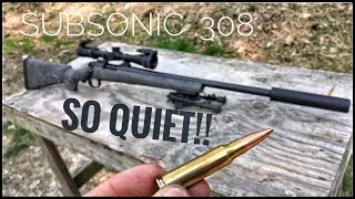 Suppressed 308  How Quiet Is It Silencer Series ep 01 [upl. by Netsrijk]