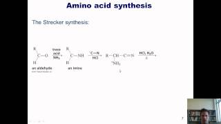 Chapter 23 – Protein Chemistry Part 3 of 4 [upl. by Anawed312]