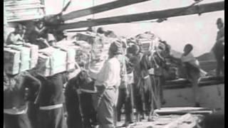 world war 2 full documentary [upl. by Darby]