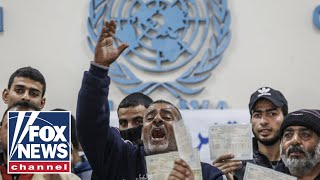 Nations halt funding for UN relief group over alleged Hamas involvement [upl. by Ahsikym]