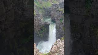 Fall green water from glacier northern Iceland 🇮🇸 105pm 6 Aug 2024 [upl. by Malas130]