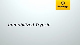 Immobilized Trypsin [upl. by Tomkiel]