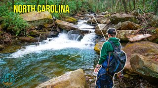 Fly Fishing the Appalachians for 3 Days  Fly Fishing for Brook Rainbow and Brown Trout [upl. by Oj739]