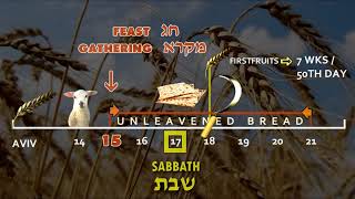 First Fruits  Counting the Omer  Biblical Holy Feast days [upl. by Frodina]