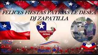 mix de cuecas chilenas con DJ ZAPATILLA [upl. by Gillespie]